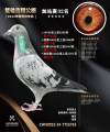 图片暂时未上传