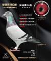 图片暂时未上传