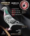 图片暂时未上传