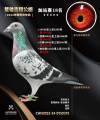 图片暂时未上传