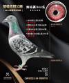 图片暂时未上传