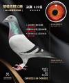 图片暂时未上传