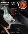图片暂时未上传