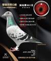 图片暂时未上传