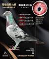 图片暂时未上传