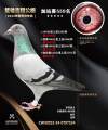 图片暂时未上传