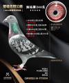 图片暂时未上传