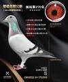 图片暂时未上传