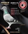 图片暂时未上传