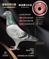 图片暂时未上传