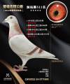 图片暂时未上传