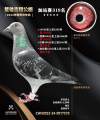 图片暂时未上传
