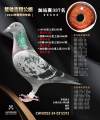 图片暂时未上传
