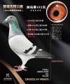 图片暂时未上传