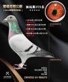 图片暂时未上传