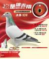 图片暂时未上传