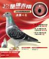 图片暂时未上传