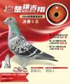 图片暂时未上传