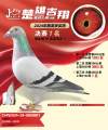 图片暂时未上传