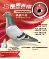 图片暂时未上传