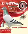 图片暂时未上传