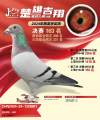 图片暂时未上传