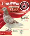 图片暂时未上传