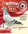 图片暂时未上传