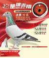 图片暂时未上传