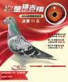图片暂时未上传