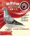图片暂时未上传