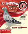 图片暂时未上传