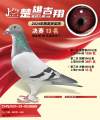 图片暂时未上传