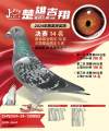 图片暂时未上传
