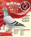 图片暂时未上传