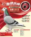 图片暂时未上传