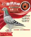 图片暂时未上传
