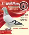 图片暂时未上传