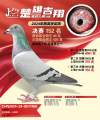 图片暂时未上传
