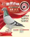 图片暂时未上传