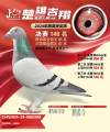 图片暂时未上传