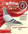 图片暂时未上传