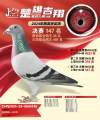 图片暂时未上传