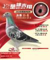 图片暂时未上传