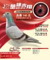 图片暂时未上传