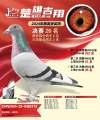 图片暂时未上传
