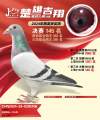 图片暂时未上传