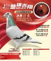 图片暂时未上传