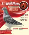 图片暂时未上传