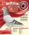 图片暂时未上传